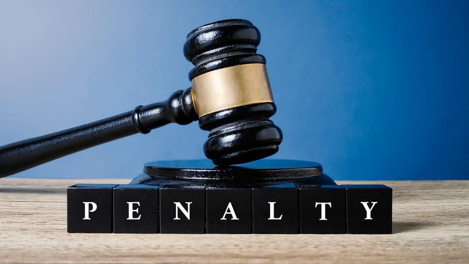 Paternity Process Works